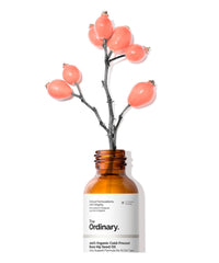 100% Organic Cold-Pressed Rose Hip Seed Oil by The Ordinary in UAE, Dubai, Abu Dhabi at Shopey
